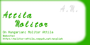 attila molitor business card